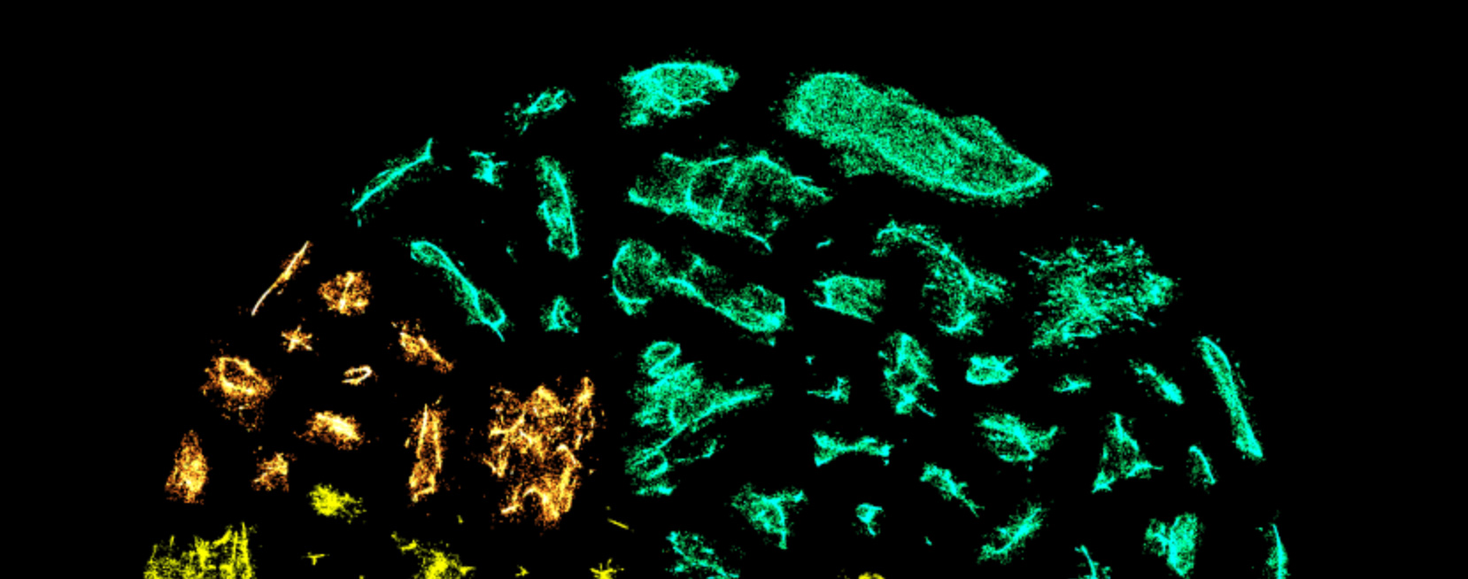 A circular layout of interest communities.