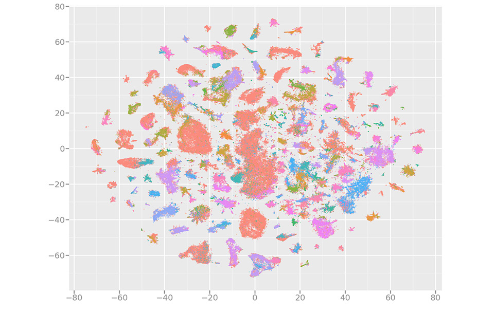 Visual output from the t-SNE algorithm. User profiles group together in clusters